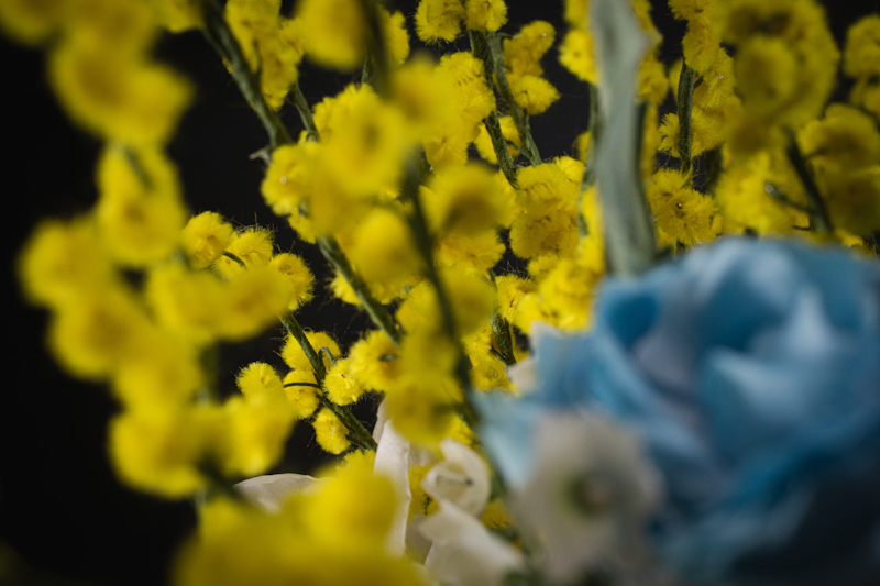Bouquet di mimose e rose blu
