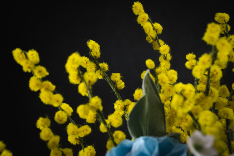 Bouquet di mimose e rose blu